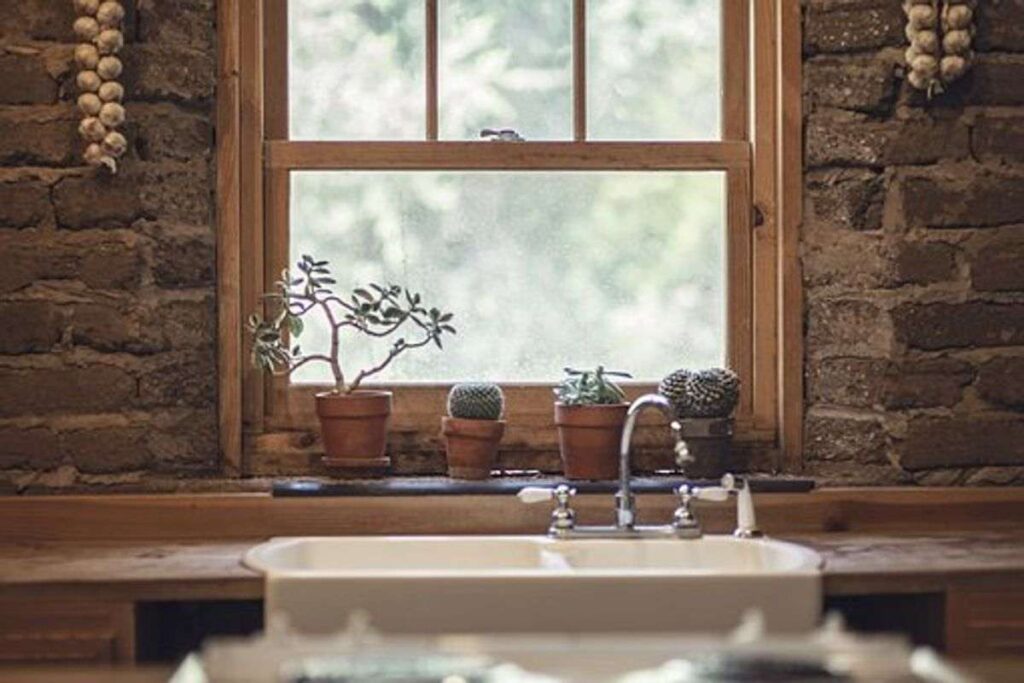 Melaleuca The Wellness Company