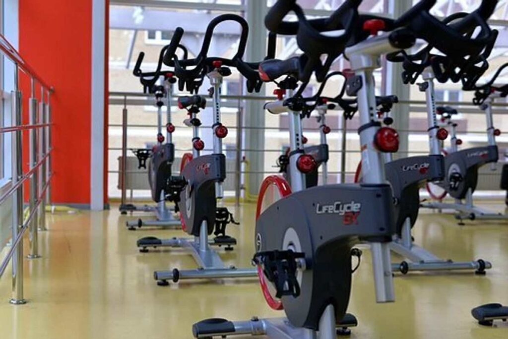 Sunny Health And Fitness Bike