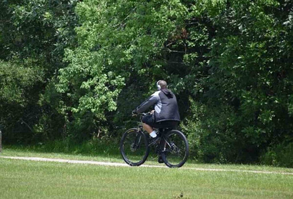Fat bike
