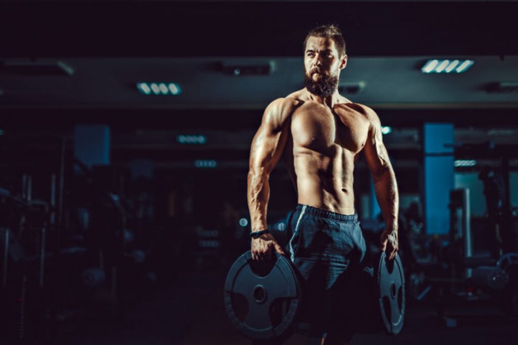 Hammer Gym Equipment