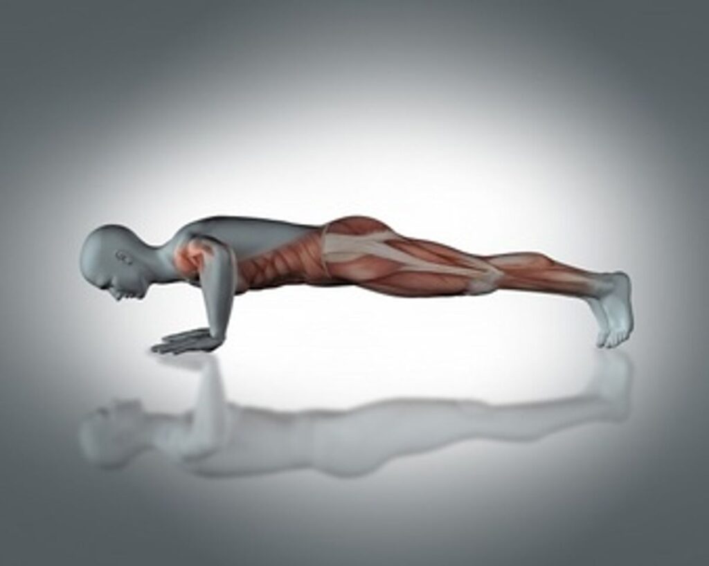Powerfit Elite Reviews