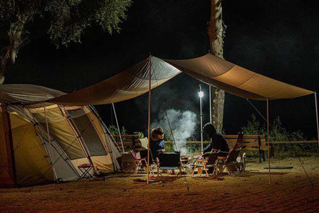 Bugs on Camping