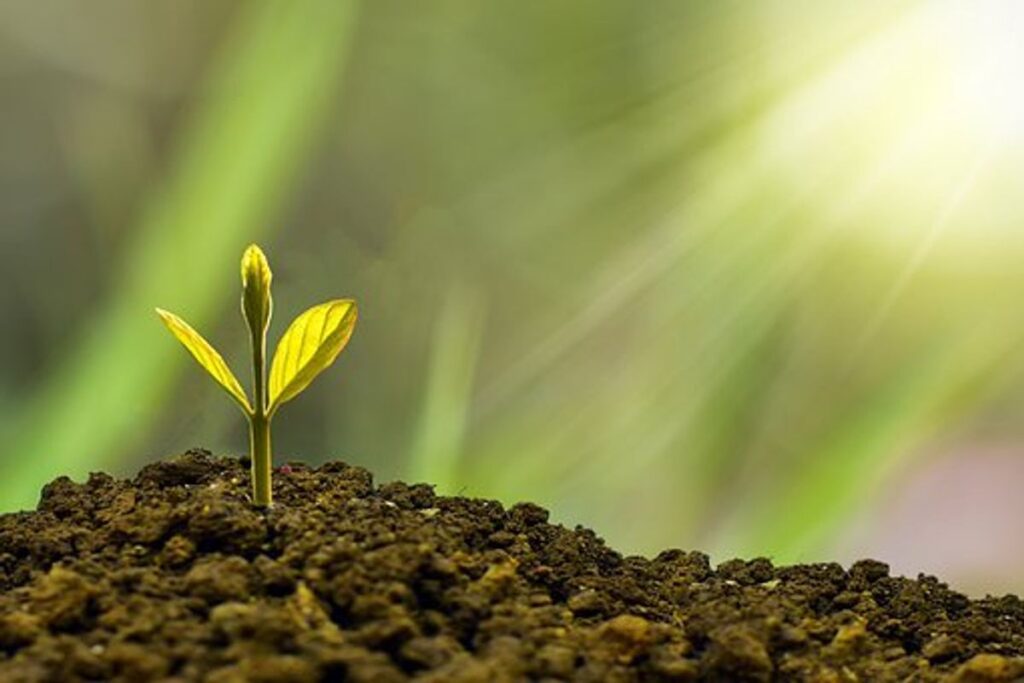 Corporate Social Responsibility in Banks
