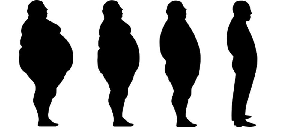 Lose Weight Diets