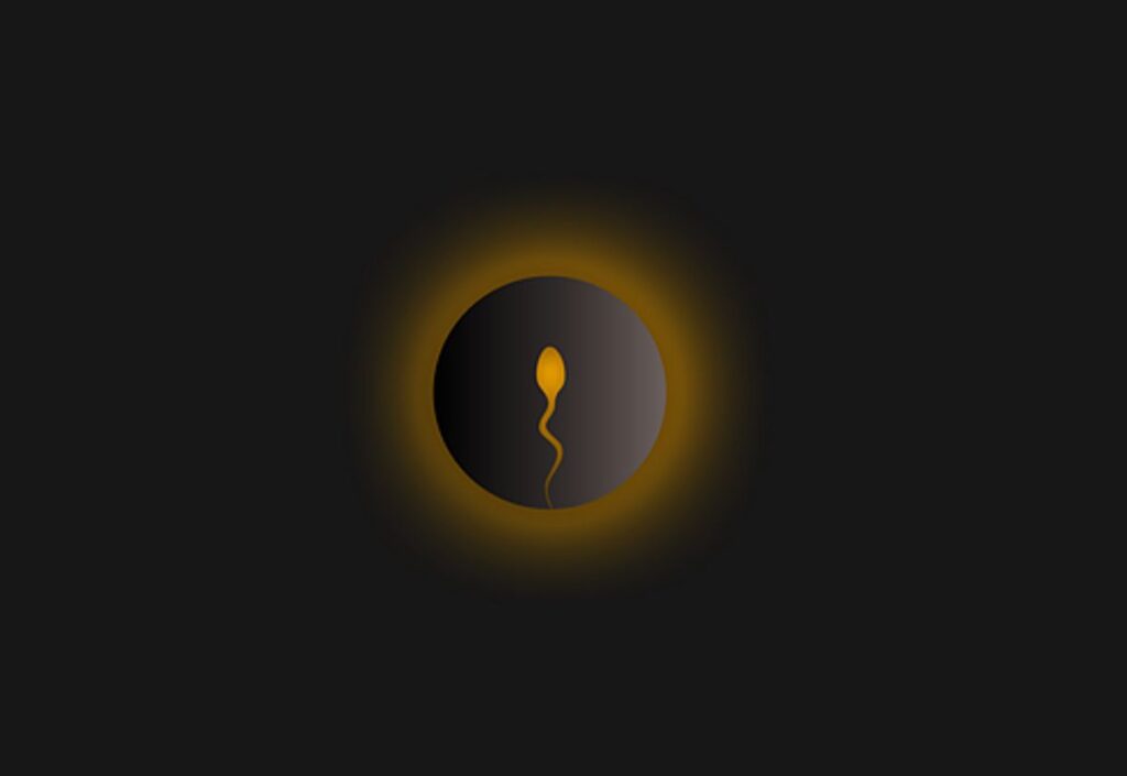 Selecting a Sperm Donor