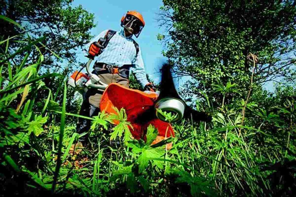A Carpenter or a Gardener
