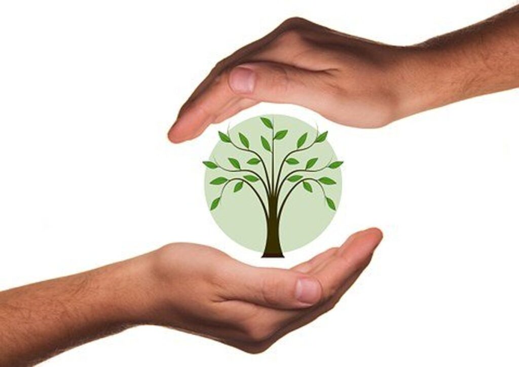 How To Be Fully Responsible For Your Life