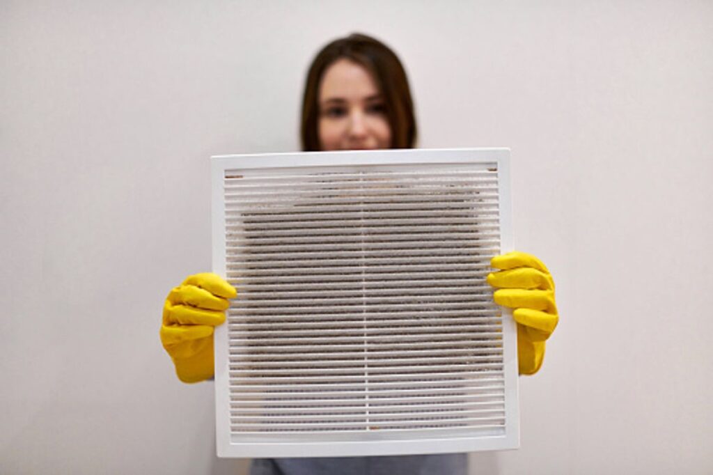 bulk air purifier