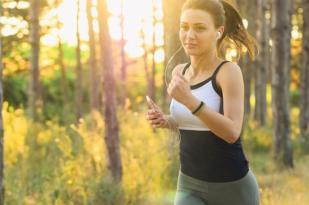 Echelon Treadmill Reviews