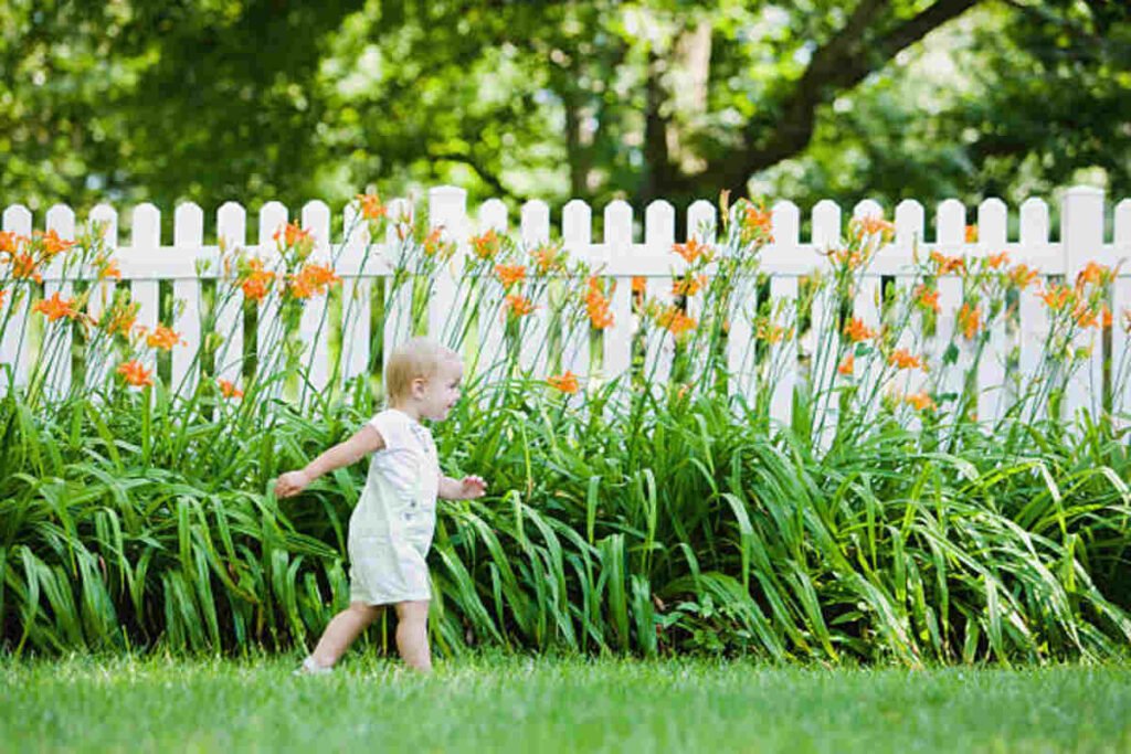 home depot garden fence