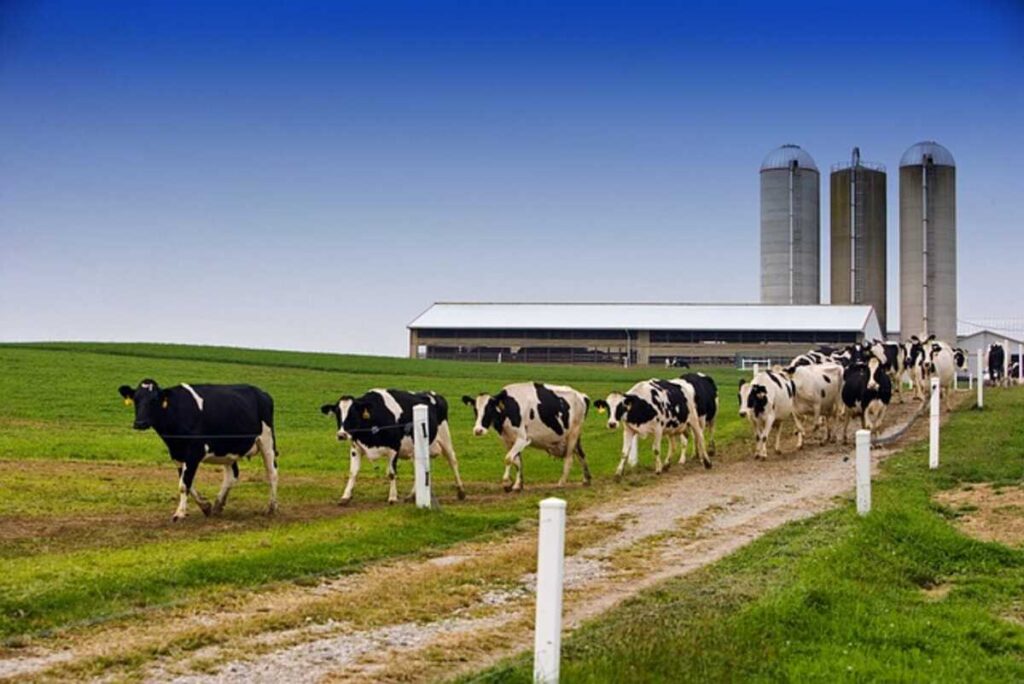 family farm and home warren ohio