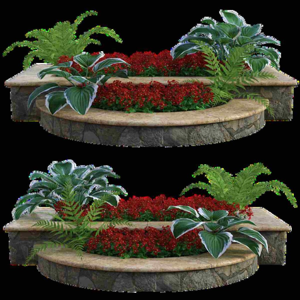 Cedar Planter