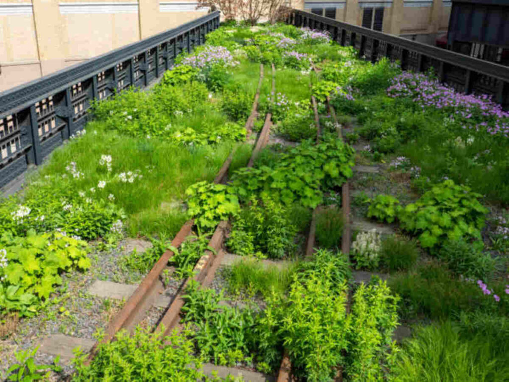 Urban Garden Prints