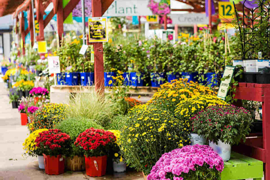 Winter Garden Fair