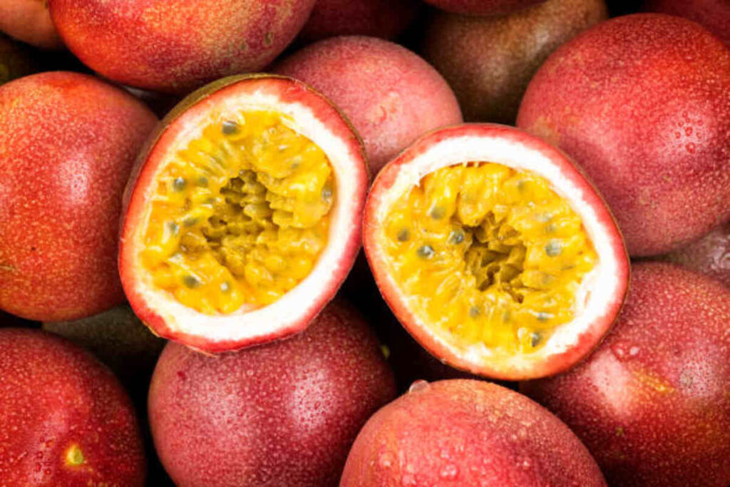 Passion Fruit Tree