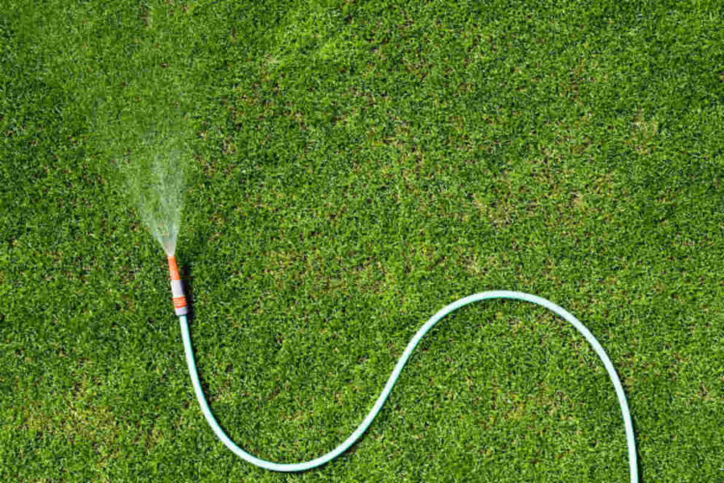 PFA vs PTFE