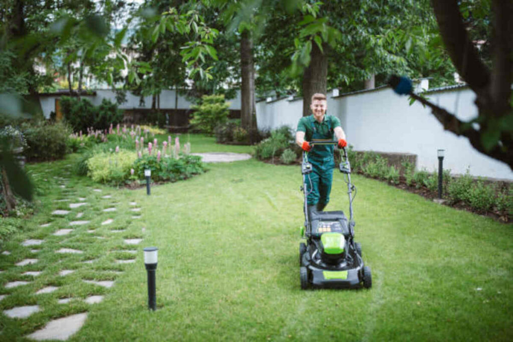 landscaping Fremont ca