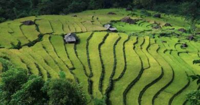 JFD Landscapes