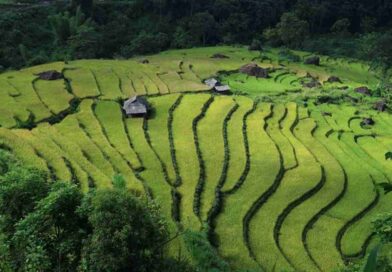 JFD Landscapes