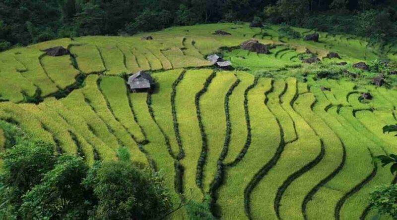 JFD Landscapes