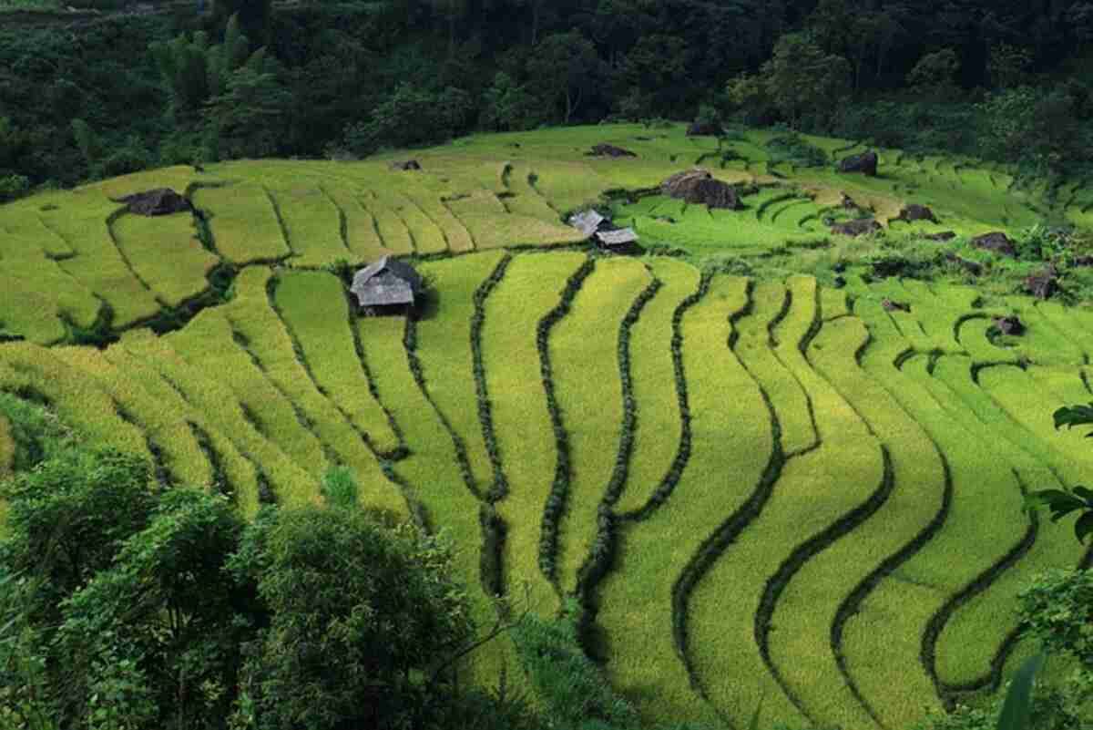 How to Reach JFD Landscapes Easily
